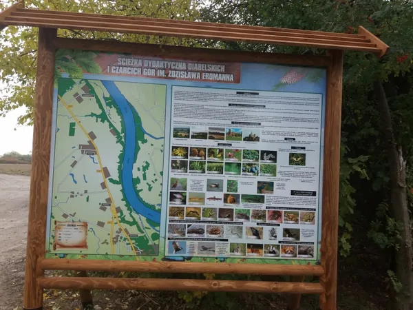 Przebudowa infrastruktury na szlaku turystycznym Diabelce, zdjęcie 2