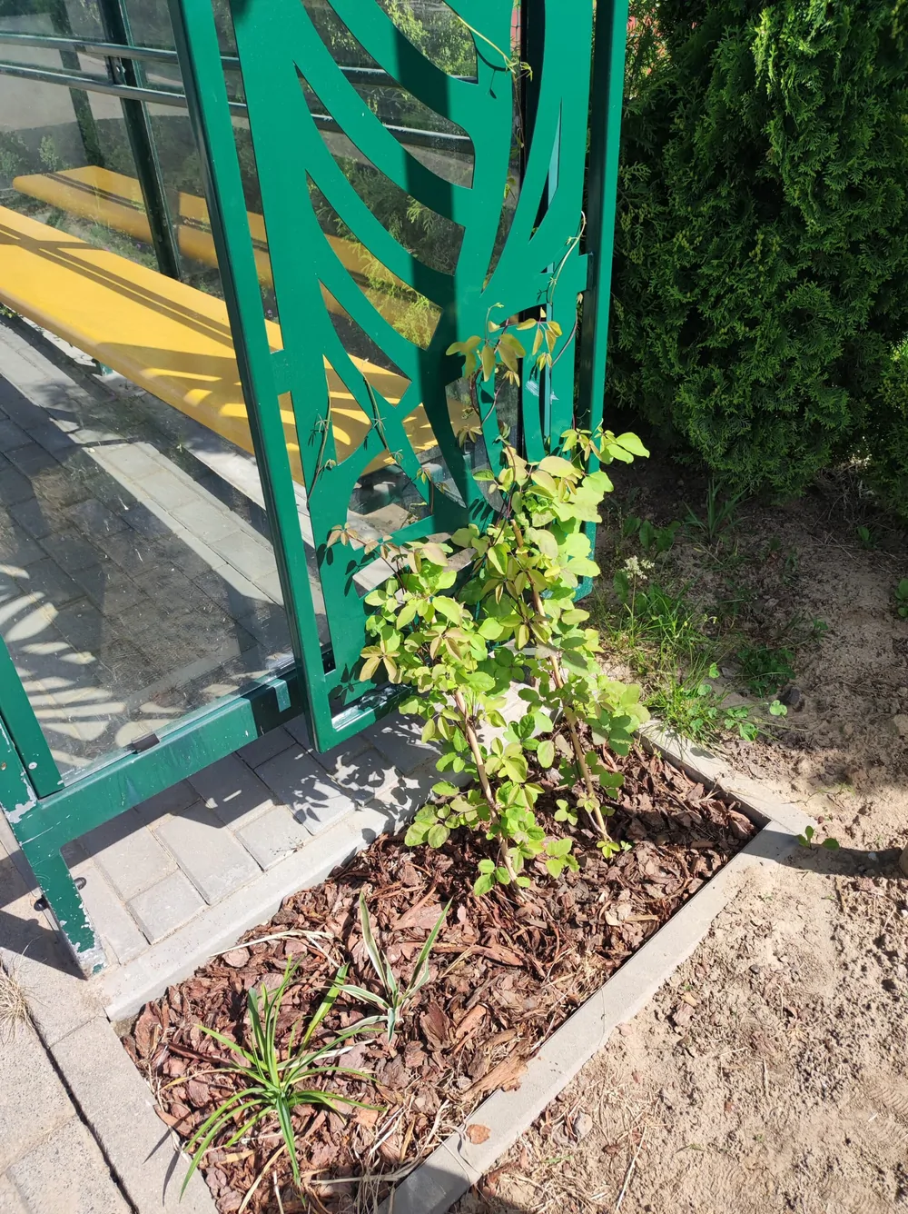 Zielone przystanki, zdjęcie 3